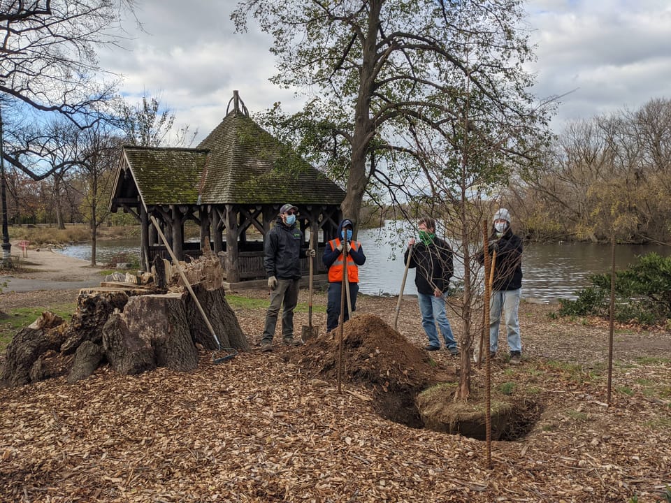 75 Trees Planted In Prospect Park This Fall To Honor Loved Ones