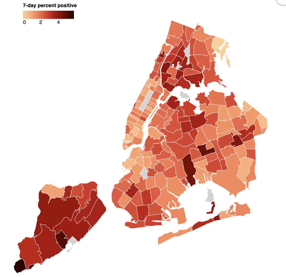 Brooklyn COVID-19 Numbers – Boro Park and East NY Rising