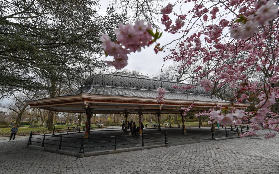 Prospect Park’s Concert Grove is Open!