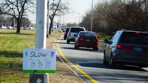 Gravesend Pol Calls Out DOT For Dangerous Street Lamp Placement On Belt Parkway