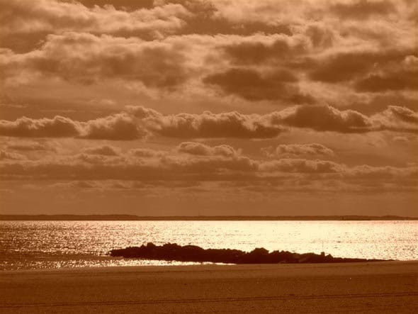 Dead Man Found On Beach In Coney Island