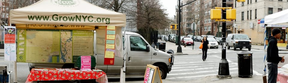 Right Now at the Greenmarket