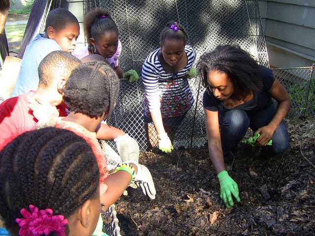 Sustainable Flatbush Composting Open Hours Change This Saturday