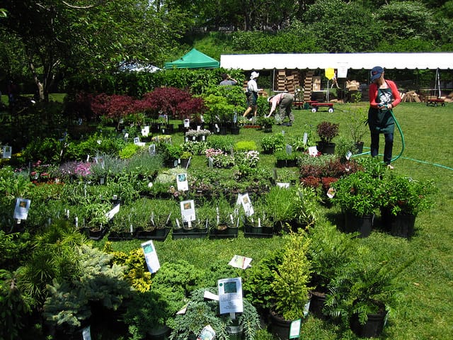 Annual Plant Sale at the Brooklyn Botanic Garden Is This Week