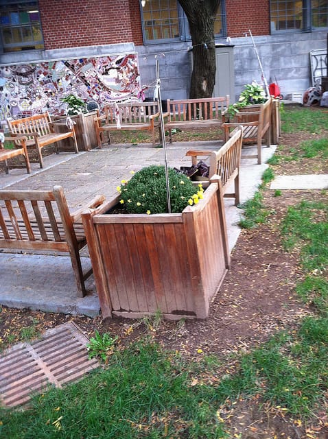 PS 217 Garden Concert Series Starts Tonight