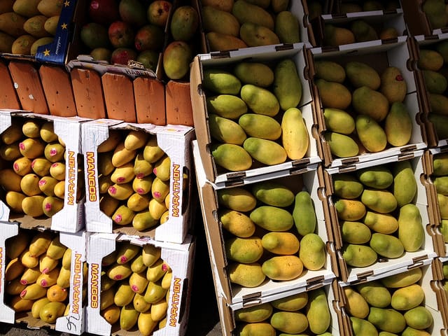 Mango Season