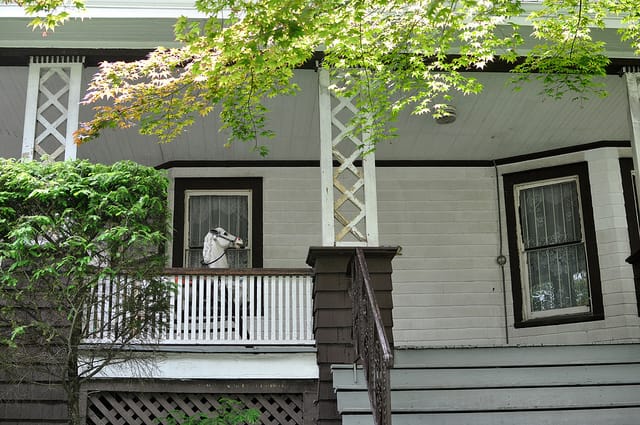 Horse on the Porch