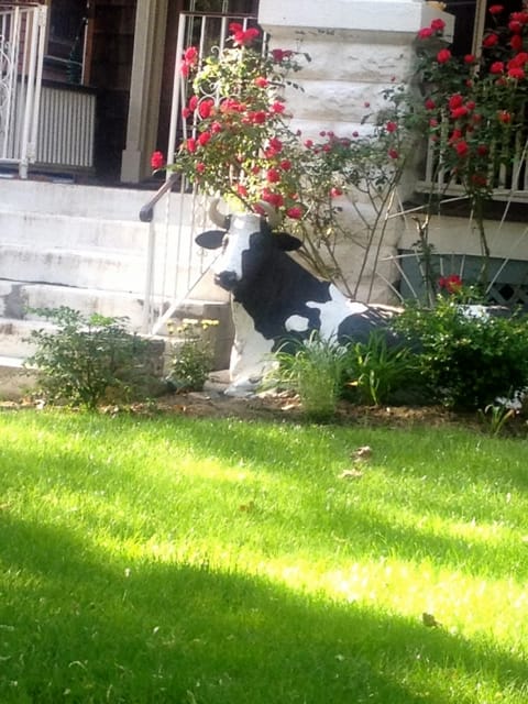 Garden Cow