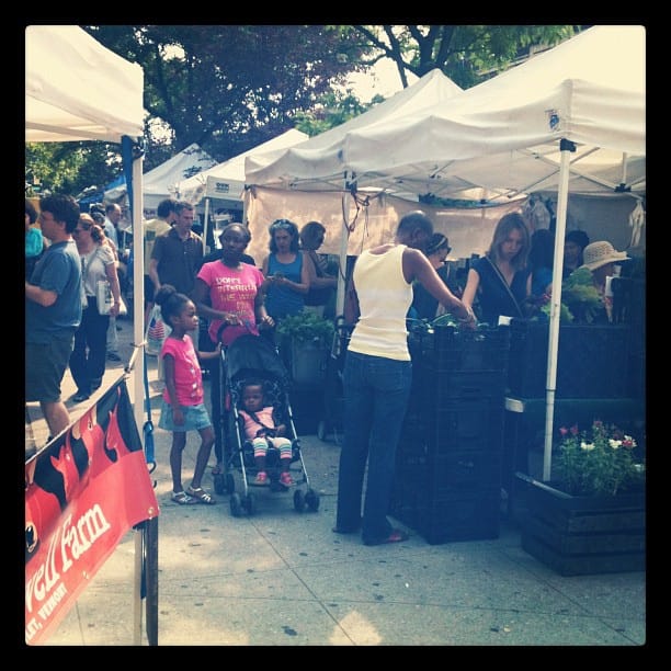 This Week at the Cortelyou Greenmarket