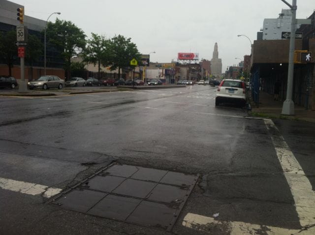 A Tree Grows on Fourth Ave