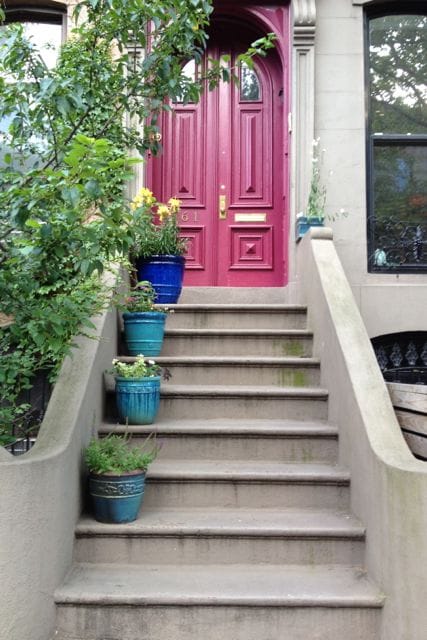 The Friday Stoop Stoop: Vol. 1