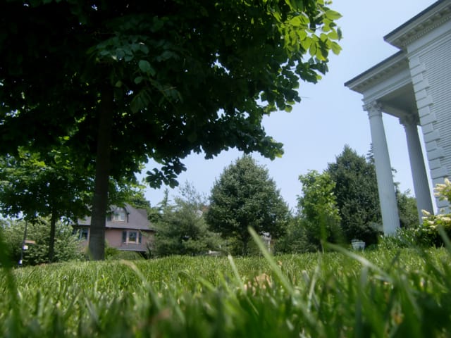 Albemarle Lawn