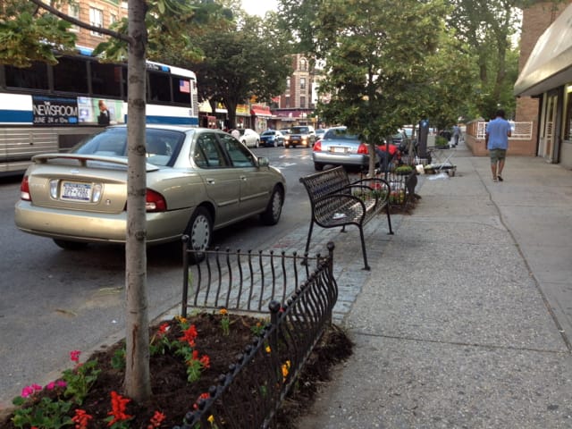 Check Out the Nice Tree Pits in Front of the Flatbush Food Co-op