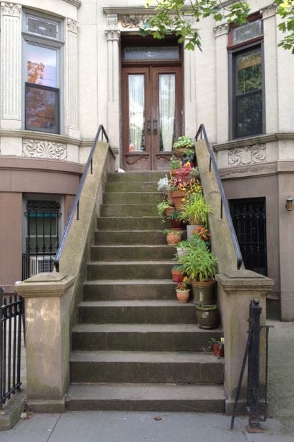 The Friday Stoop Stoop, Vol. 2