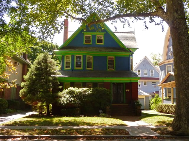 The Technicolor Houses of East 19th Street