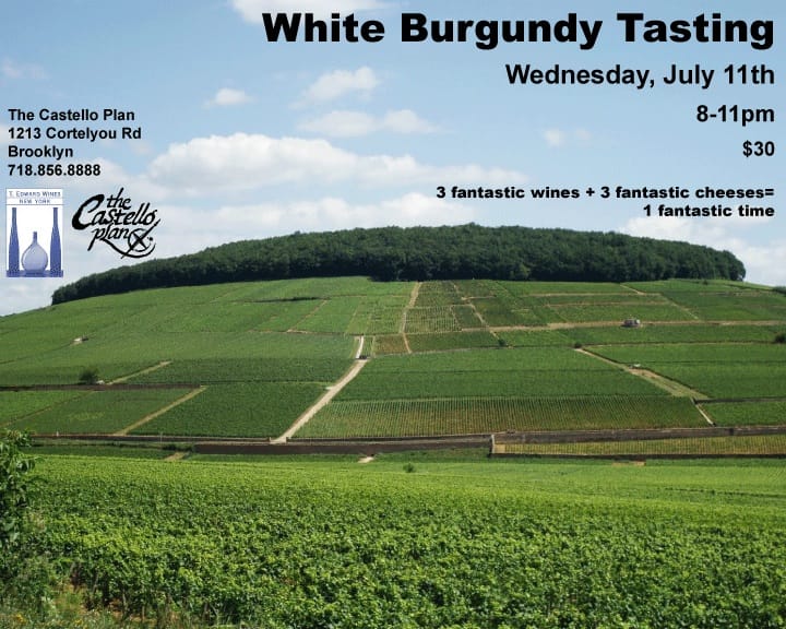 White Burgundy Tasting at The Castello Plan Tomorrow