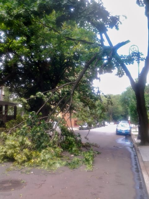 Westminster Road Currently Closed