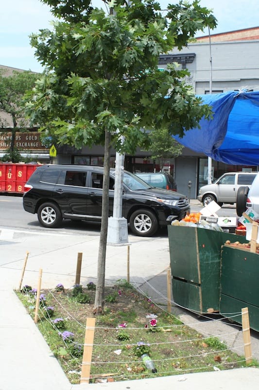 The Most Beautiful Tree Bed Contest