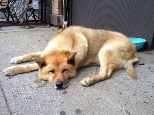 The Week on the Stoop