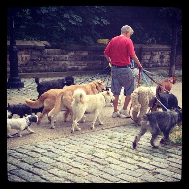 Dangerous Gang Activity, Park Slope, Brooklyn