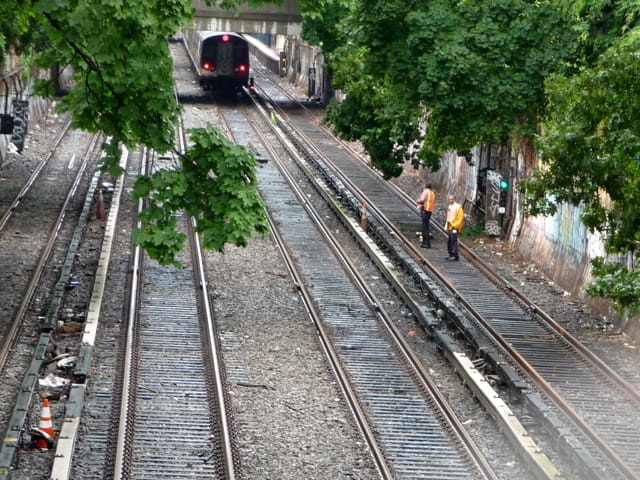 Low-Hanging Tree Blocking Manhattan-Bound Local Track