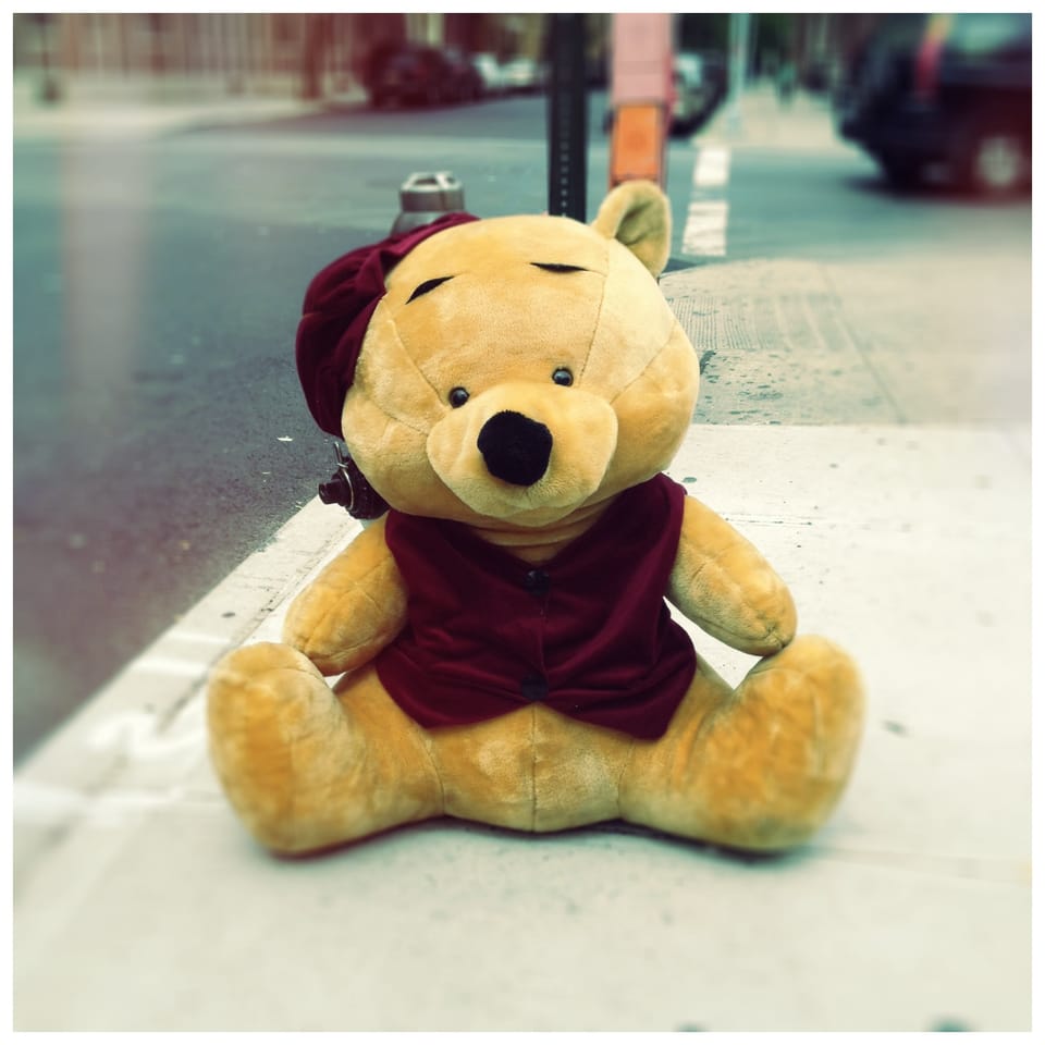 Pooh Bear on Caton