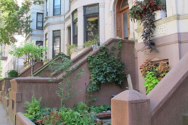 Is Park Slope Home To The Greenest Block In Brooklyn?