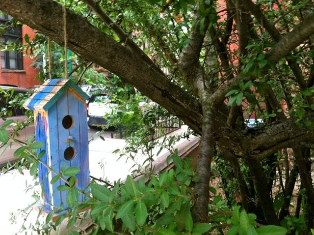 Seen from the Stoop: Distance from the Subway and Other Concerns