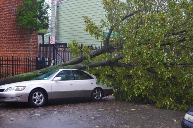 Sandy Aftermath: Neighborhood Damage