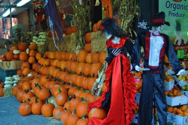 Great Pumpkins Spotted on 7th Avenue