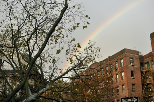 Post-Hurricane Rainbow