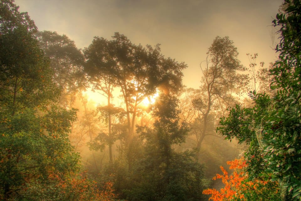 Fall in Prospect Park