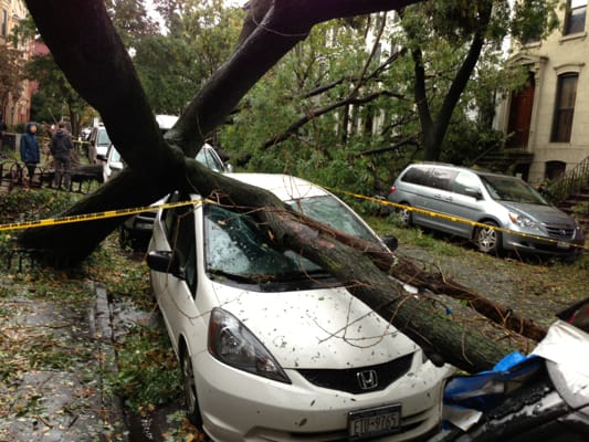 Hurricane Sandy Damage in Park Slope