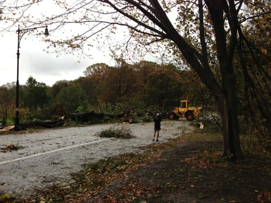 Prospect Park Still Closed, But Walk-a-Thon Still On & Will Be Fundraiser