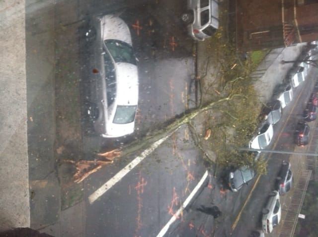 The Worst of Hurricane Sandy is Hitting Now, Here’s What’s Happened to Ditmas Park So Far