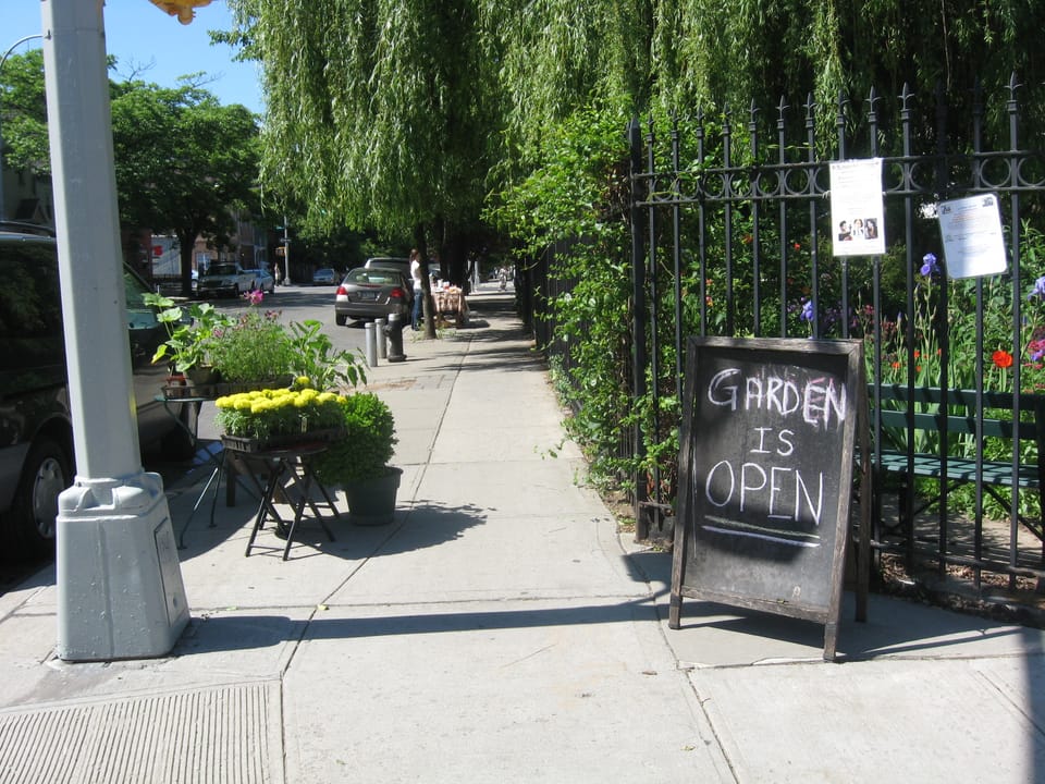 Learn Essential Gardening Tips at 6/15 Green This Sunday