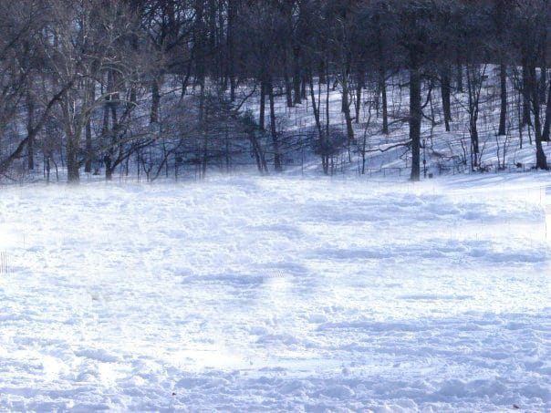 NYC Parks Closed Until Friday Morning