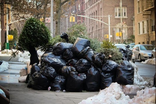 How to Recycle Your Christmas Tree