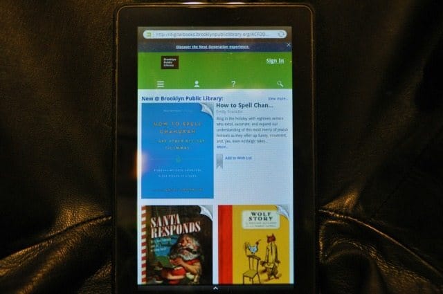 Have You Tried Out the Brooklyn Public Library eBooks Yet?