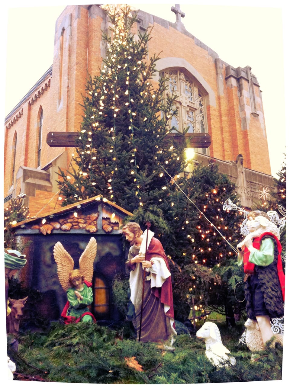 Immaculate Heart of Mary Tree Lighting