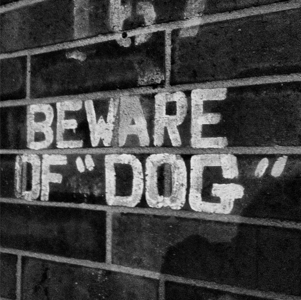 Beware of “Dog”