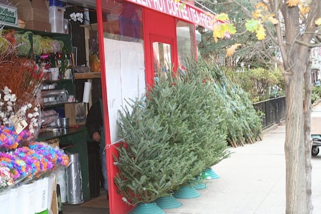 Buy Your Christmas Tree and Wreath on Fort Hamilton Pkwy on Sunday