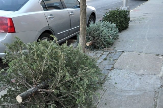 Ready To Take Down Your Christmas Tree? Here’s How To Recycle It