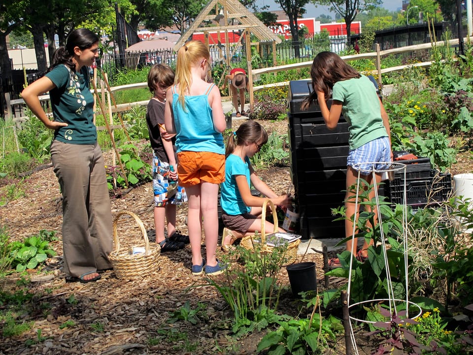 Brooklyn Urban Garden School