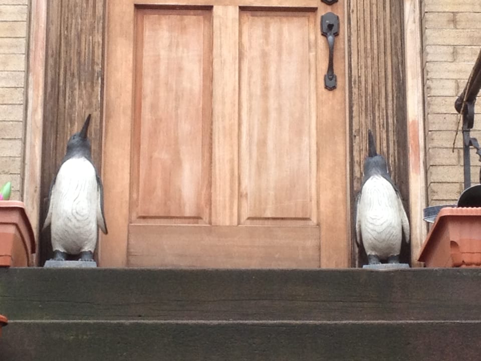 Photo of the Day: Penguin Stoop