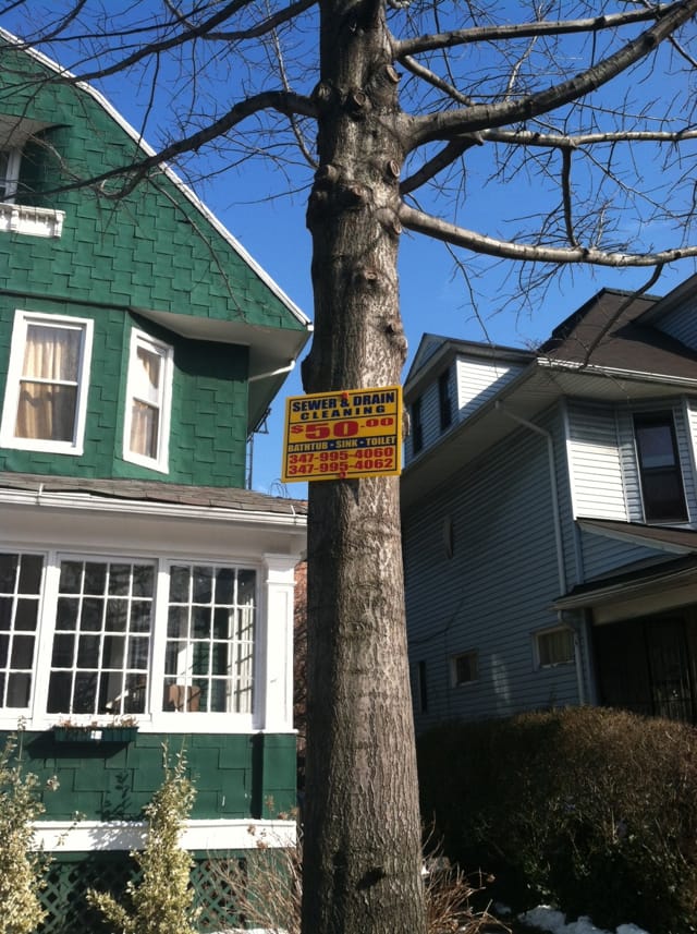 What Do You Think of Signs in Trees?