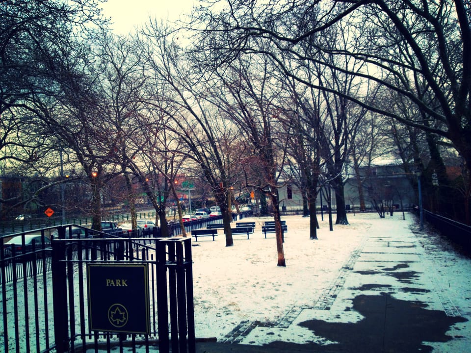 Snow in the Park