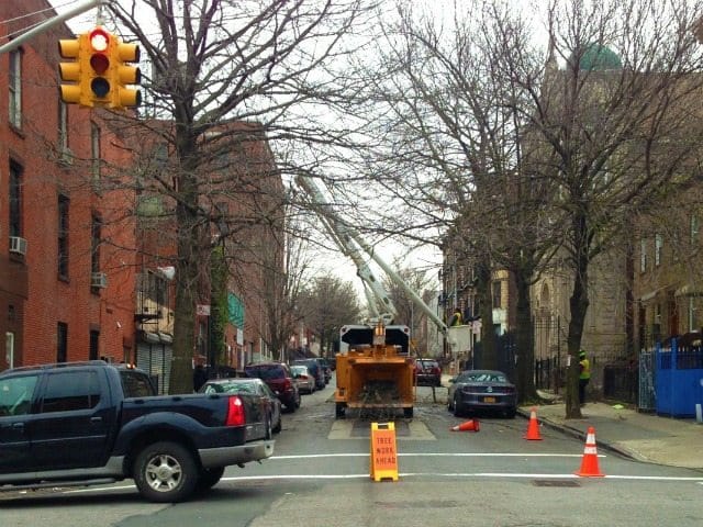 Move Your Cars Before the City Does! 14th St Tree Work Today