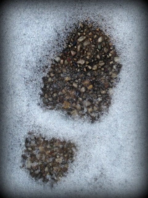 Photo of the Day: Footprint in the Snow