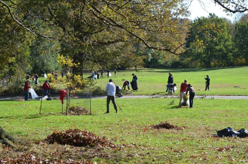 Volunteer In Prospect Park This Spring